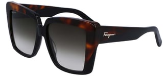 Lunettes  Soleil Salvatore Ferragamo SF1060S BLACK HAVANA/SMOKE 55/14/140 femme