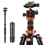 K&F Concept 78 inch /198cm Camera Tripods,Compact Travel Tripod with Monopod,12kg/26.4lbs Load Capacity 360° Panorama Ball Head Compatible with DSLR Cameras K255A6+BH-32L