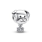 Pandora Pet Dog And Bone hela 792254C01