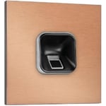 EKEY 204713 Lot de Lecteur d'empreinte Digitale sLine Noir, pour Gira 106, Bronze