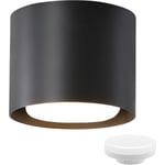 Plafonnier led moderne Spots GX53 - Noir rond en aluminium 3000K blanc chaud orientables, inclus led ampoules 5W luminaire de plafond Ø10cm pour