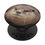 Otter Animal PopSockets Swappable PopGrip