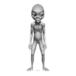 Grey Alien Star Mini Cardboard Cutout, cardboard, Multi-Colour, 90 x 31 x 90 cm