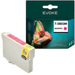 Epson 803 magenta värikasetti , 14 ml , 470 sivua , C13T08034010 / T0803 , yhteensopiva PX660 R285 RX585 PX710 kanssa.