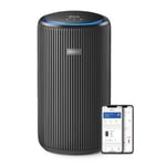 Smart Air Purifier