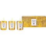 Acqua di Parma Home Fragrance Home Collection Rajoitettu painosKynttilä trio Bosco-kynttilä 70 gr. + Panettone-kynttilä 70 gr. + Caminetto-kynttilä 70 gr. 70 g (1 509,43 € / 1 kg)