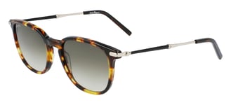 Lunettes de Soleil Salvatore Ferragamo SF1015S Havana/Grey 52/19/150 homme