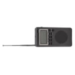 Portable Am Fm Digital Radio Highly Sensitive Stable Low Power Consumption Part