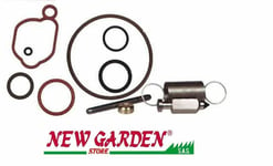 Ensemble Entretien pour Tondeuse OHV Série 500 550 Briggs & Stratton 222049