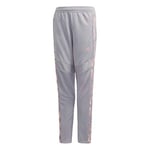 adidas TIRO19PNTGFXSYG Sport Trousers - Glory Grey/Light Pink, 910Y