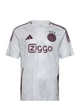 Adidas Performance Ajax Amsterdam 2024/25 3Rd Jersey Grå