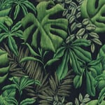 Papiers peints intissés vert exotique | Papier peint jungle fond noir salon | Tapisserie moderne tropicale pour chambre ado - 10,05 x 0,53 m