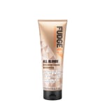 Fudge All Blonde Colour Lock Shampoo 250ml