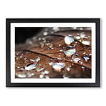 Big Box Art Rain Drops on an Autumn Leaf (3) Framed Wall Art Picture Print Ready to Hang, Black A2 (62 x 45 cm)