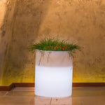 Vase rond Venusio avec lumière intérieure. Polyéthylène coloré. Élégante dans le style Puro moderne, elle est un bon accessoire de maison et s'adapte à de nombreux environnements où vous le souhaitez.