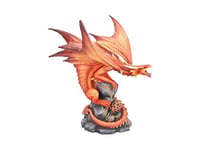 Nemesis Now Figurine de Dragon de feu Adulte Anne Stokes 24,5 cm, résine, Rouge, Taille Unique