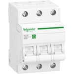 Schneider Electric R9F23313 Dvärgbrytare 6 kA vid 400 V AC 13 A