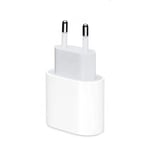 20W Snabbladdare + USB-C Lightning-kabel för iPhone SE 2020