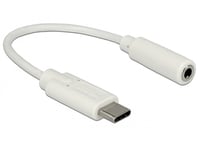 DELOCK – Audio Adapter USB Type-C™ male > Stereo Jack female 14 cm (65913)