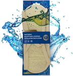 Jordan Benedict Natural Egyptian Shower Loofah Back Scrubber, Exfoliating 3PK