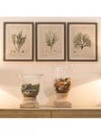 One.World Botanical Wood Framed Print, Set of 3, 60 x 46.5cm, Grey