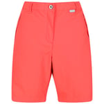 REGATTA Chaska Short Ii W - Rose taille 36 2023