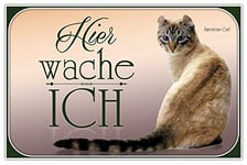 Schatzmix wache Ich American Curl Plaque métallique décorative en Forme de Chat 20 x 30 cm