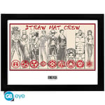 One Piece - Straw Hat Crew - Collector Print '30x40cm