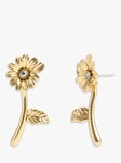 Coach Daisy Floral Stud Earrings, Gold