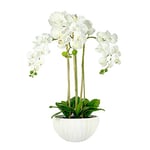 GreenBrokers Orchidées artificielles de première qualité, en Pot céramique Contemporain (Hauteur : 80 cm, 3 tiges, 27 Fleurs)