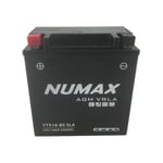 Batterie moto Numax Premium Numax Scellé AGM YTX16-BS SLA 12V 14Ah 249A