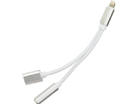 Apple Lightning to 3.5 mm Headphone Jack Adapter - Lightning to headphone  jack adapter - Lightning (M) to stereo mini jack (F) - for Apple  iPad/iPhone/iPod (Lightning) - Hunt Office Ireland