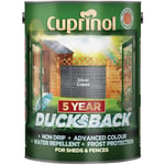 Cuprinol 5095343 Ducksback 5 Year Waterproof for Sheds & Fences Silver Copse 5L