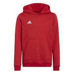 adidas Unisex Kids Entrada 22 Sweat Hoodie, team power red 2, 15-16 Years