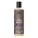 Urtekram Organic Lavender Shine Shampoo - 250ml