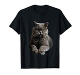 British Shorthair Cat T-Shirt