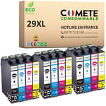 COMETE, Marque française - 29XL - 12 Cartouches d'encre Compatibles avec Epson 29 XL Fraise - pour Epson Expression Home XP 452 XP 235 XP 243 XP 245 XP 247 (3 Noir et 9 Couleur)