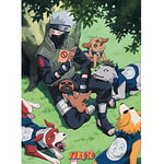 ABYSTYLE - Naruto - Poster (KAKASHI & SES CHIENS)