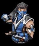 Mortal Kombat Figure - Sub-Zero Bust - Merchandise Decorative Figure 28cm