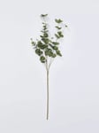 Everlands Eucalyptus Stem, Green