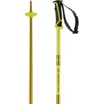 Salomon Arctic Unisex Poles Ski Hiking 130cm