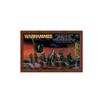 Dark Elf Black Ark Corsairs Warhammer Fantasy