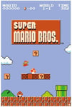 Super Mario -1-1 World Poster - Impact Posters