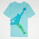 T-Shirt Nike Air Jordan Jumpo Apls Junior Garçon Enfant 95C419 U5L U1R Jumpman