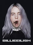 Billie Eilish Canvas, Multicolored, 30 x 40 x 3, 8 cm