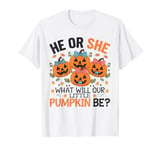 He or She What Will Our Little Pumpkin Be Baby Pregnancy T-Shirt