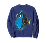 Disney Pixar Finding Nemo Dory Color Book Sweatshirt