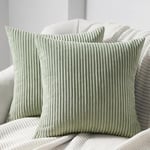 Topfinel Housse de Coussin 65 x 65 Vert Anis en Velours Côtelé Respirant Housse Douce pour Coussin Décoratif Canapé Salon Chambre Lit Adulte Scandinave Boheme Lot de 2