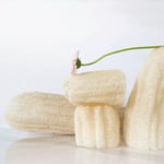 Loofah Svamp (3-pack S)