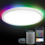 Plafonnier 24W rgb Plafonniers Backlight led Plafonnier IP44 dimmable bluetooth wifi - Hengda